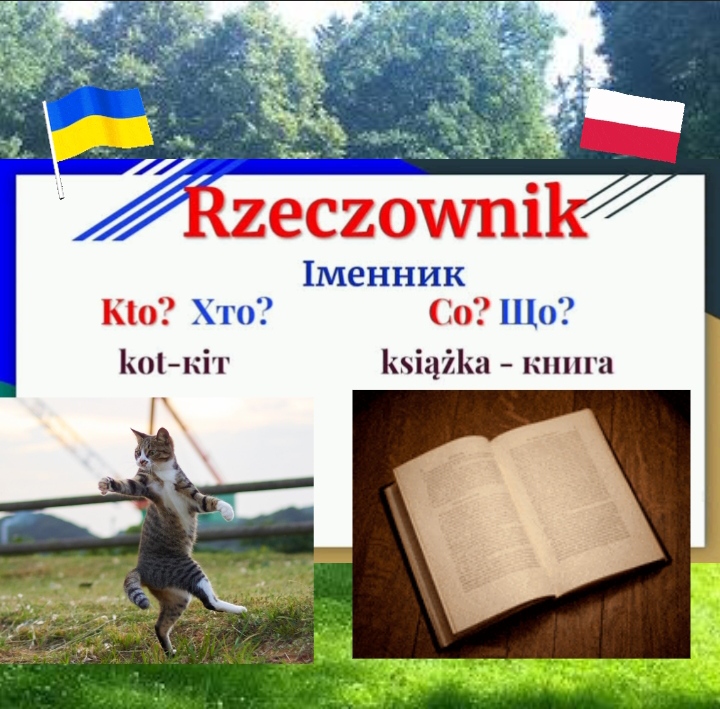 Іменник польської мови (rzeczownik)